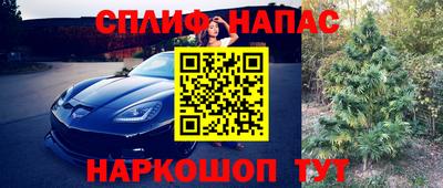 ГАЛЛЮЦИНОГЕННЫЕ ГРИБЫ Гагарин