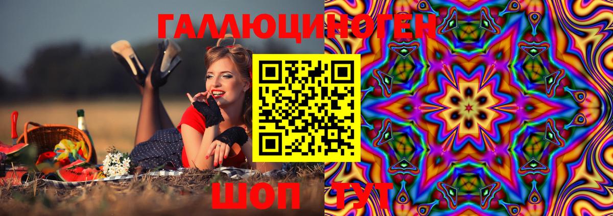 Новоуральск  Псилоцибиновые грибы Magic Shrooms  продажа наркотиков  Псилоцибиновые грибы GOLDEN TEACHER  Вход с VPN 